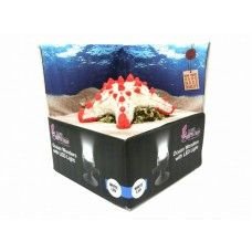 H2SHOW Star Fish + White LED - 1