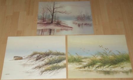 LANDSCHAP MEERTJE EN DUINEN 3 POSTERS NIEUW - 1