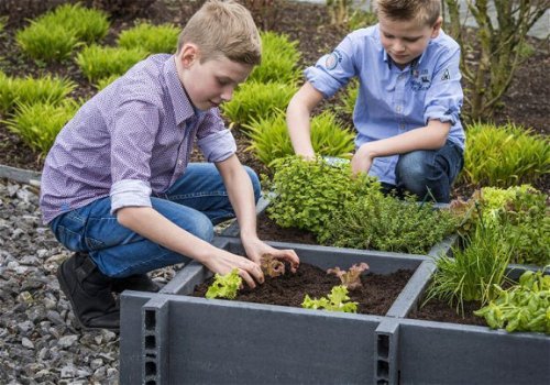 Moestuinbak met vier vakken - 2