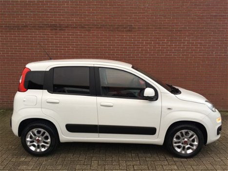 Fiat Panda - 1.2 Lounge Clima, Bluetooth, LM-velgen, Parkeersens - 1