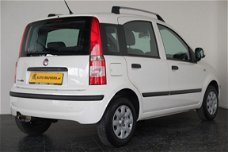 Fiat Panda - 1.2 Edizione Cool