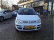 Fiat Panda - 1.2 Edizione Cool / Profiteer van onze winteractie - 1 - Thumbnail