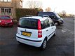 Fiat Panda - 1.2 Edizione Cool / Profiteer van onze winteractie - 1 - Thumbnail