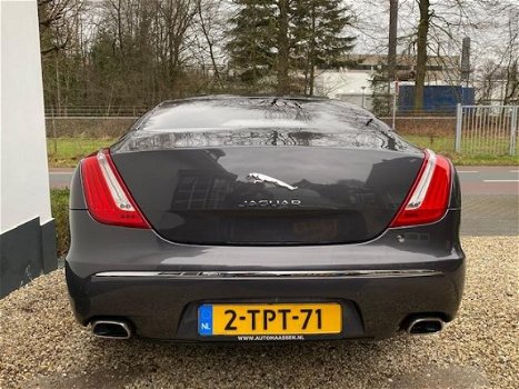 Jaguar XJ - 3.0 V6D Portfolio Panorama/Carbon/B&W/20