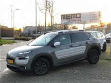 Citroën C4 Cactus - 1.6 BlueHDi Business *PANO*Camera*1e Eigenaar