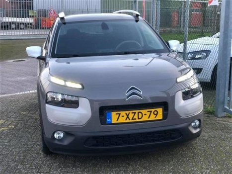 Citroën C4 Cactus - 1.6 BlueHDi Business *PANO*Camera*1e Eigenaar - 1