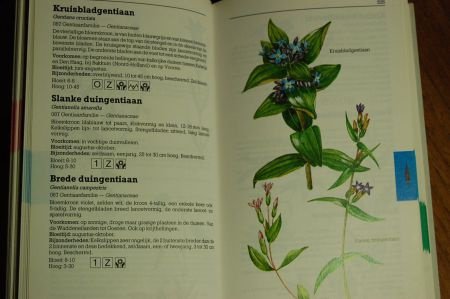 Wilde planten in kleur - Afbeelding 4