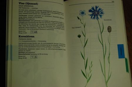 Wilde planten in kleur - Afbeelding 5