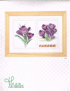 AANBIEDING THEA GOUVERNEUR BORDUURPAKKET , CROCUS  444