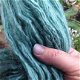 Polygonum tinctorium indigo, verfplant om blauw mee te verven - 2 - Thumbnail