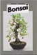 Bonsai - 1 - Thumbnail