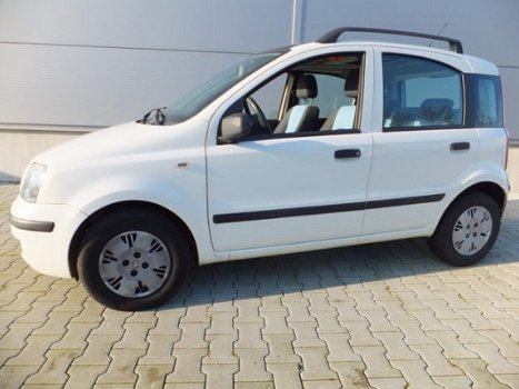 Fiat Panda - 1.2 SKY - 1