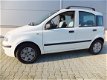 Fiat Panda - 1.2 SKY - 1 - Thumbnail