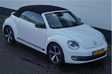 Volkswagen Beetle Cabriolet - 1.4 TSI Sport DSG Navi Cruise