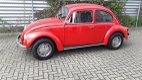 Volkswagen Kever - 1200 uniek mooie kever - 1 - Thumbnail