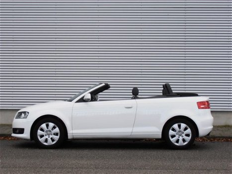 Audi A3 Cabriolet - 1.6 Attraction - 1