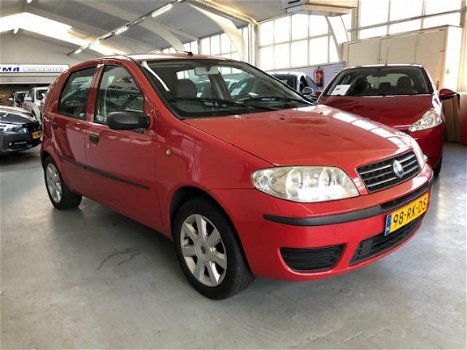 Fiat Punto - 1.2 Active 5DRS|Airco|Stuurbekr|EL-RMN - 1