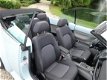 Volkswagen New Beetle Cabriolet - 1.6 *apk:11-2020* AIRCO/elec dak/cruise - 1 - Thumbnail