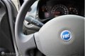 Fiat Panda - 1.1 Active WEINIG KM 82800 - 1 - Thumbnail