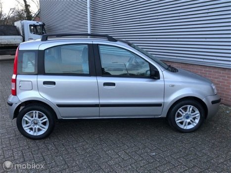 Fiat Panda - 1.2 Dynamic - 1