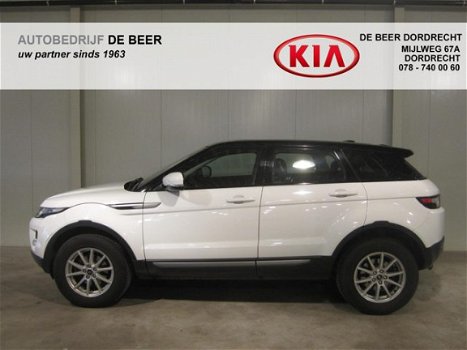 Land Rover Range Rover Evoque - 2.2 TD4 150pk 4WD Pure Leer/ Clima/ Cruise - 1