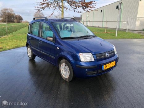 Fiat Panda - 1.2 Dynamic - 1