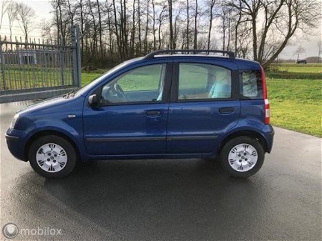 Fiat Panda - 1.2 Dynamic - 1