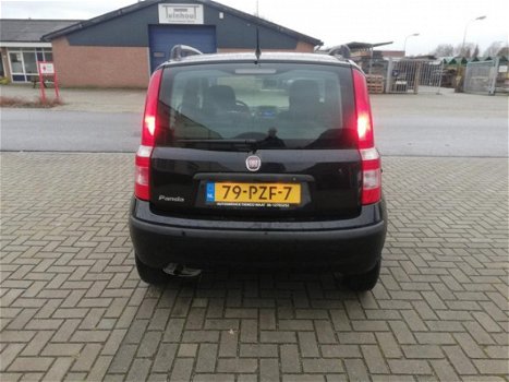 Fiat Panda - 1.2 Edizione Cool - 1