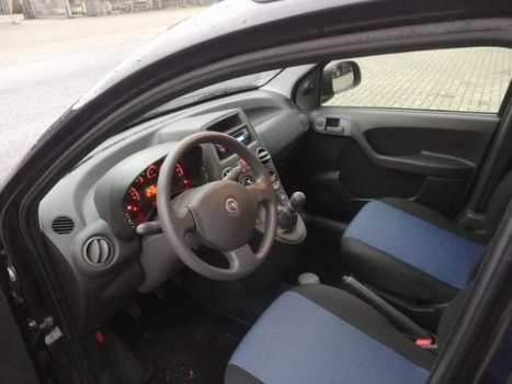 Fiat Panda - 1.2 Edizione Cool - 1