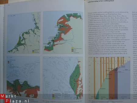 Waddenzee - 2