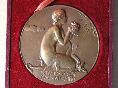 www.tefaf.de promotion / Medaillon Penningen Gold iNumis Art Munten Penningkunst Medaille - 4