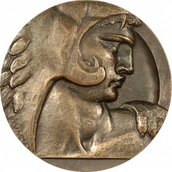 www.exonumia.eu / Goud Munten / Penningen Medals / Goldmedal / Penningkunst / vpk Medaille - 5