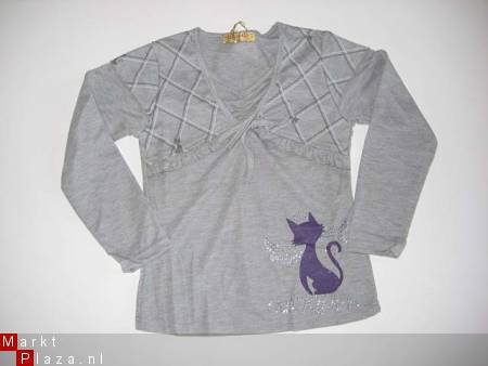 grijs shirt met poes en strasssteentjes in mt 110/116 - 1