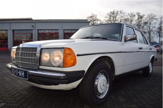 Mercedes-Benz 250 - (W123) Org. NL - 1