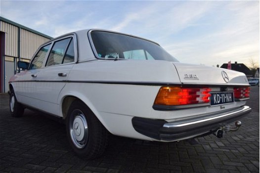 Mercedes-Benz 250 - (W123) Org. NL - 1