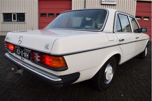 Mercedes-Benz 250 - (W123) Org. NL - 1