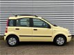 Fiat Panda - 1.2 Edizione Cool / Airco / 5-deurs / elek ramen / - 1 - Thumbnail