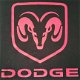 Dodge Ram artikelen - 1 - Thumbnail