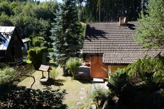 Prachtig vakantiehuis in groene omgeving op 40 km van Praag - 8
