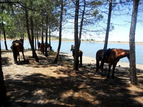 Horseriding Holidays - 1