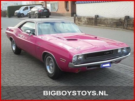 Dodge Challenger - R/T 440 Six-Pack Tribute - 1