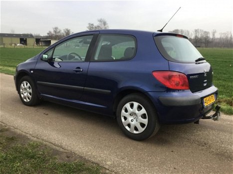 Peugeot 307 - 1.6-16V XS AUTOMAAT ZEER MOOI met AIRCO - 1