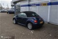 Volkswagen New Beetle Cabriolet - - 1.6 75KW Highline - 1 - Thumbnail