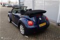 Volkswagen New Beetle Cabriolet - - 1.6 75KW Highline - 1 - Thumbnail