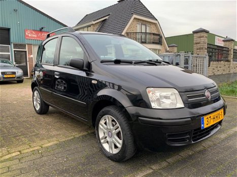 Fiat Panda - 1.2 Young - 1