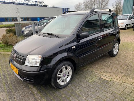 Fiat Panda - 1.2 Young - 1