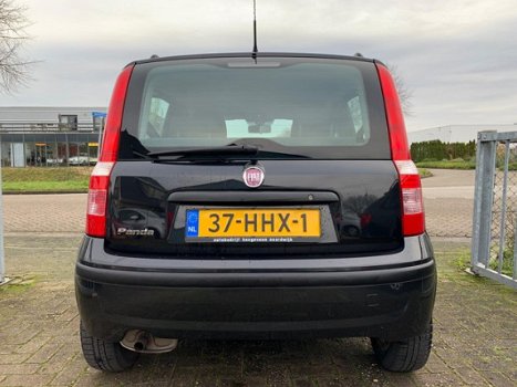 Fiat Panda - 1.2 Young - 1