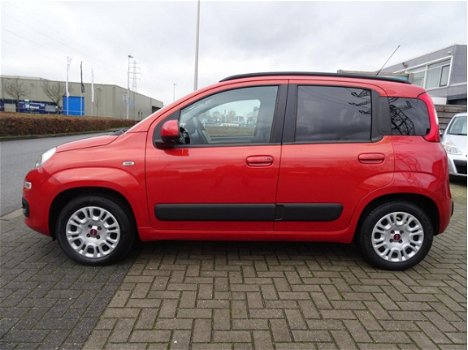 Fiat Panda - 0.9 TwinAir Lounge zeer netjes - 1