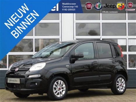 Fiat Panda - 1.2 Lounge *NIEUW* *RIJKLAAR - 1