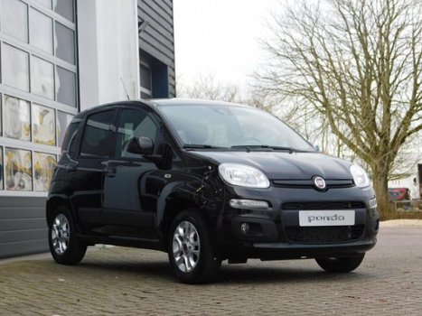 Fiat Panda - 1.2 Lounge *NIEUW* *RIJKLAAR - 1